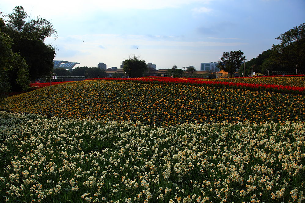 http://i.dcview.tw/gallery/201102/4bf098e71b543df0ced2842d02902de6.jpg