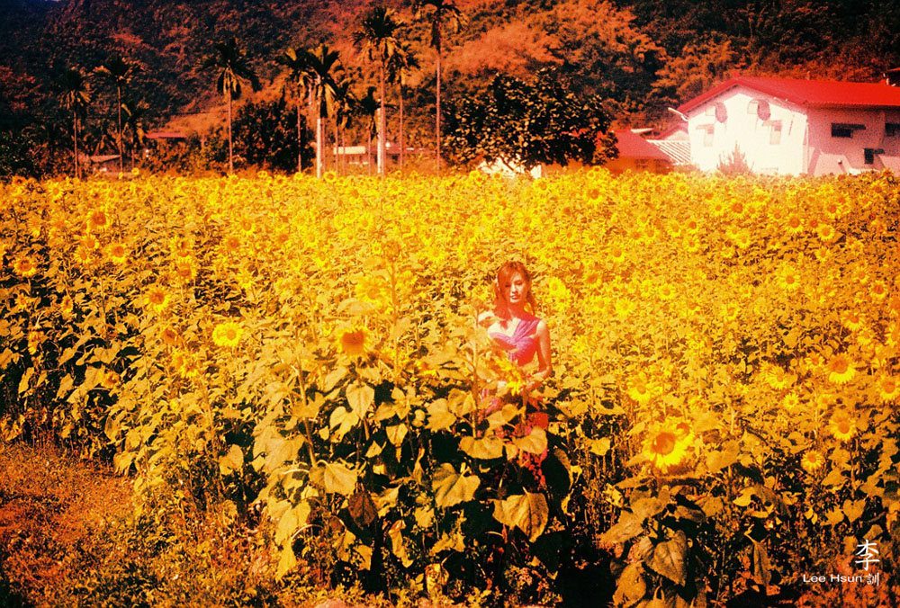 http://i.dcview.tw/gallery/201102/4dff82616f403aab780361766974db08.jpg