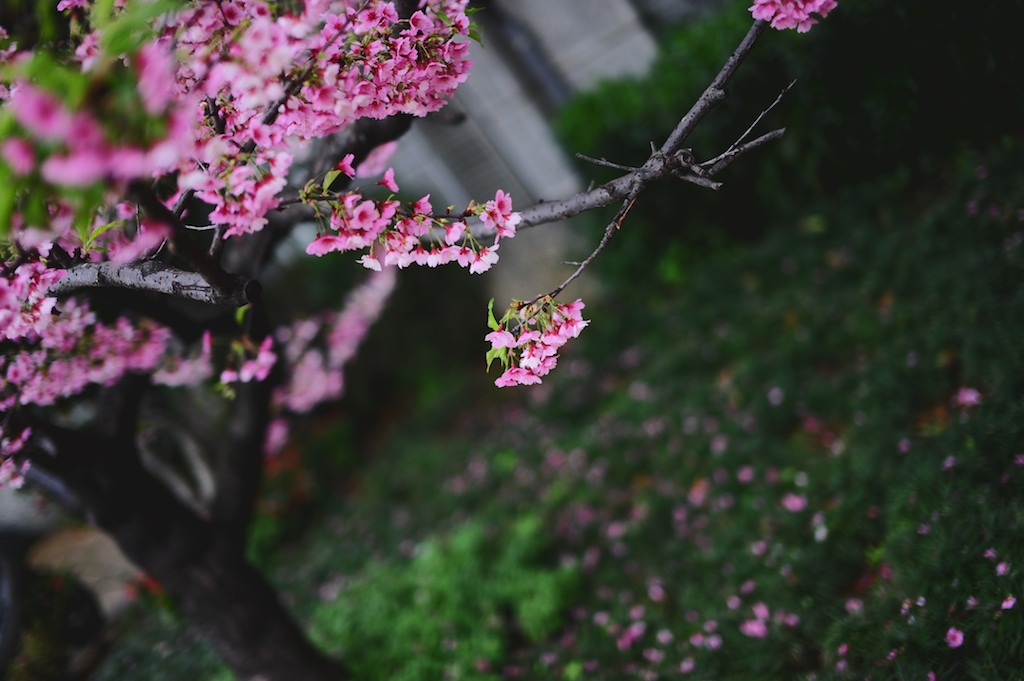 http://i.dcview.tw/gallery/201102/4e251abc4567f7e98e289032c44dbb4b.jpg
