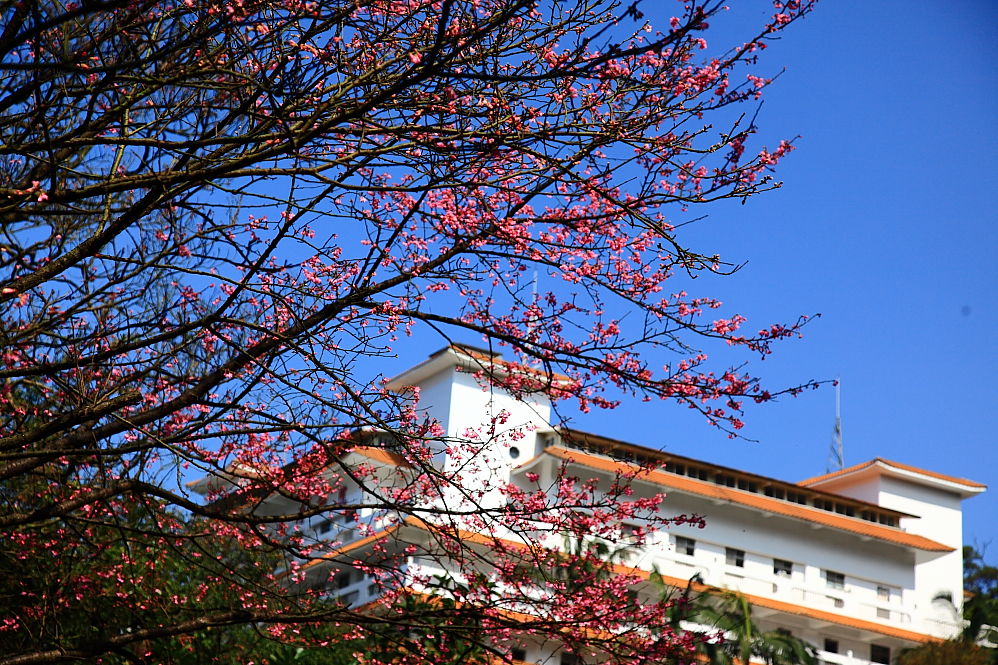 http://i.dcview.tw/gallery/201102/5352a5f29de5f6a6436433b622df57cf.jpg