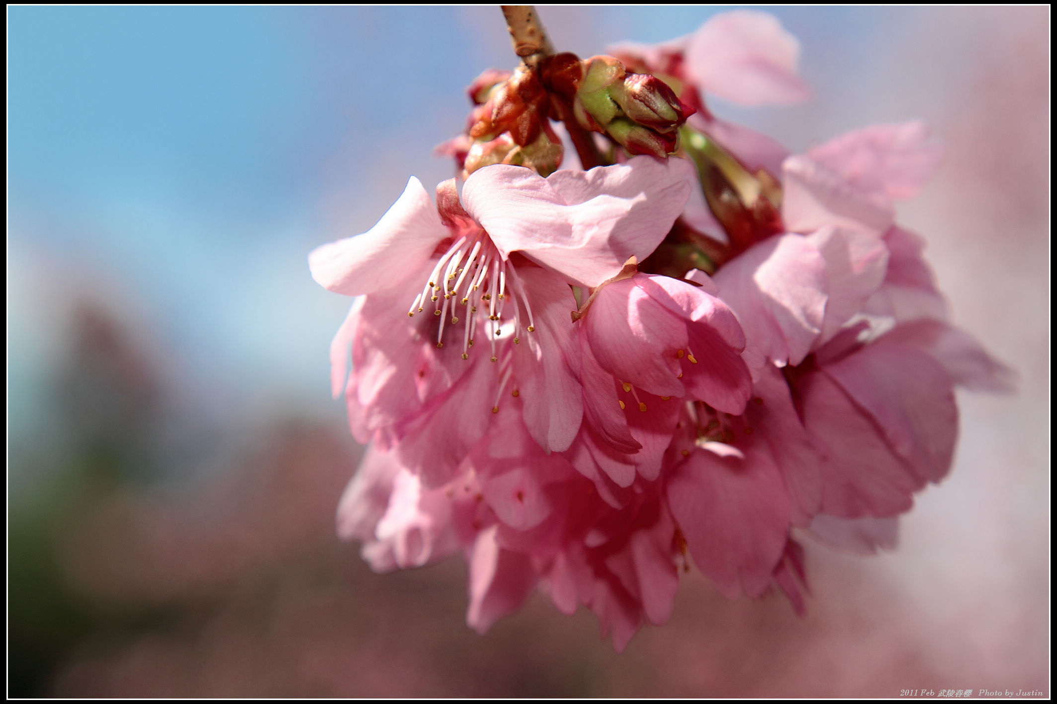 http://i.dcview.tw/gallery/201102/5b5ac2c2d8baf5145906584ce12d72b7.jpg