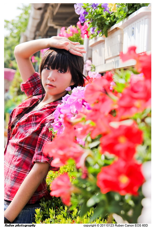 http://i.dcview.tw/gallery/201102/5d379648c497738a2b2a047603e8000d.jpg