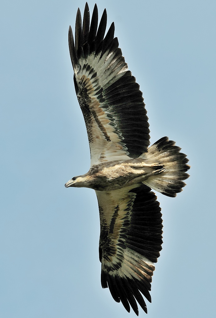 http://i.dcview.tw/gallery/201102/64028f9fa4b5a9e3d98ed26b48d660b0.jpg