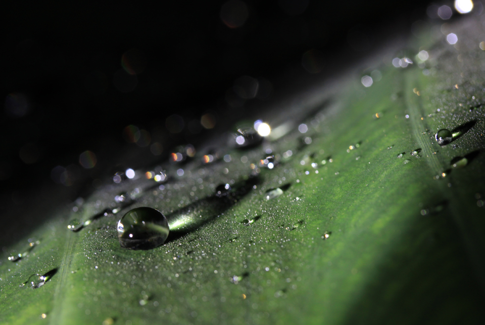 http://i.dcview.tw/gallery/201102/642ee5065a55e2faac42d5a97d633d7d.jpg
