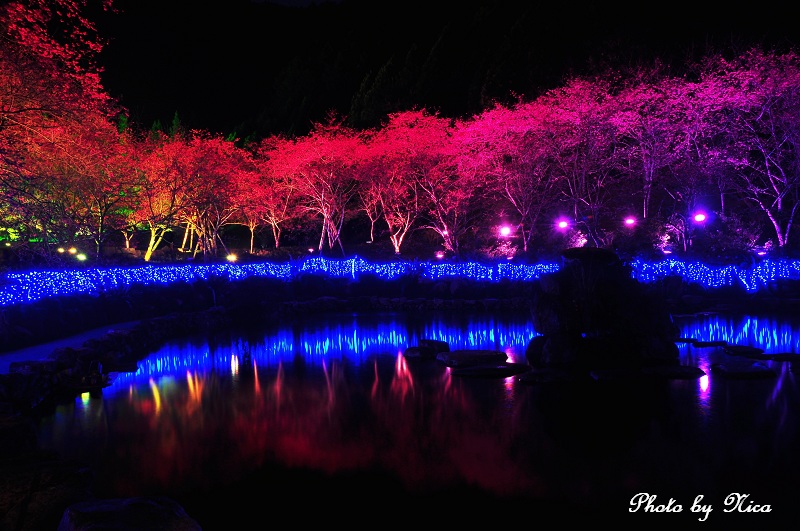 http://i.dcview.tw/gallery/201102/68674c6aa9bc1db1b7620777dfcf1a8c.jpg
