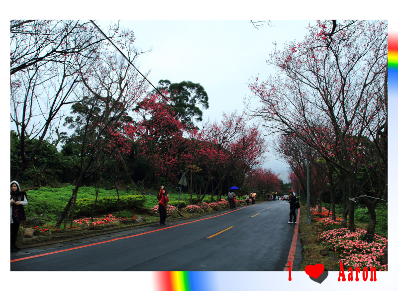 http://i.dcview.tw/gallery/201102/6e46d21a893356edb08807abdc9c7295.jpg