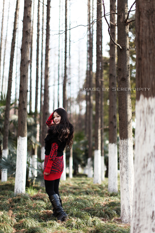 http://i.dcview.tw/gallery/201102/76de7cee0848c42a0b75a5afd10188d2.jpg