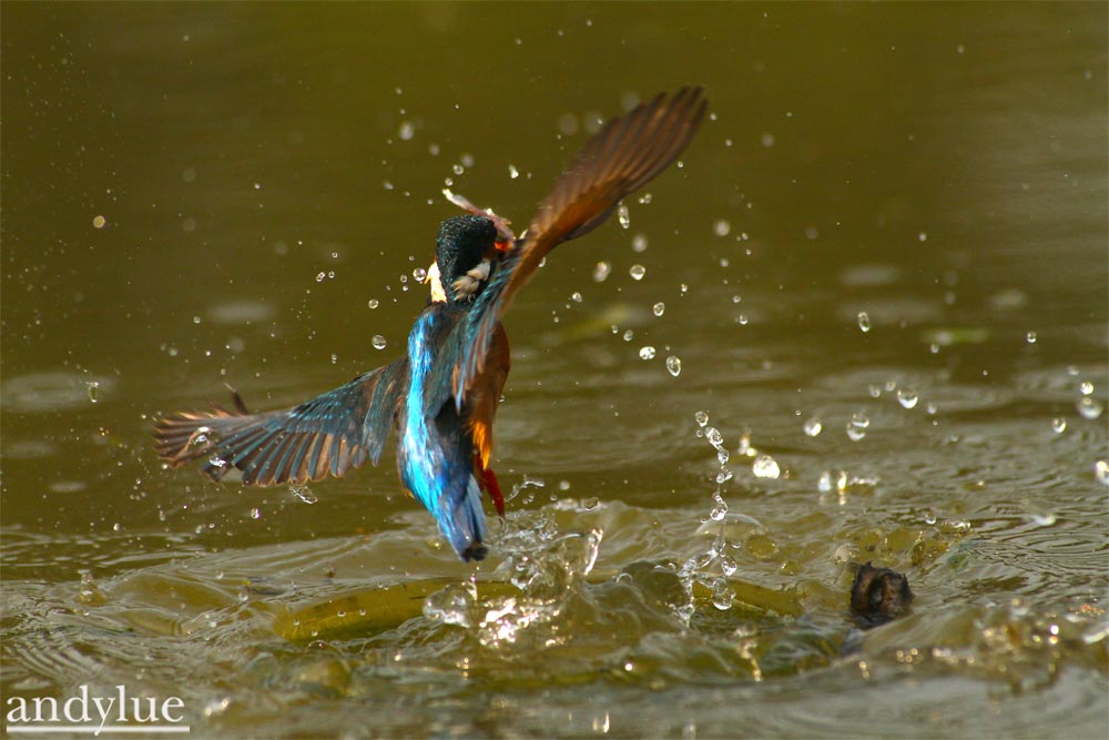 http://i.dcview.tw/gallery/201102/7a7335642b878bef89ad8b568e34f6d9.jpg