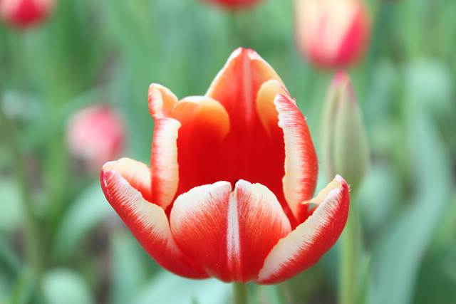 http://i.dcview.tw/gallery/201102/7d79192a56d99b3b275479e0a27f47e8.jpg