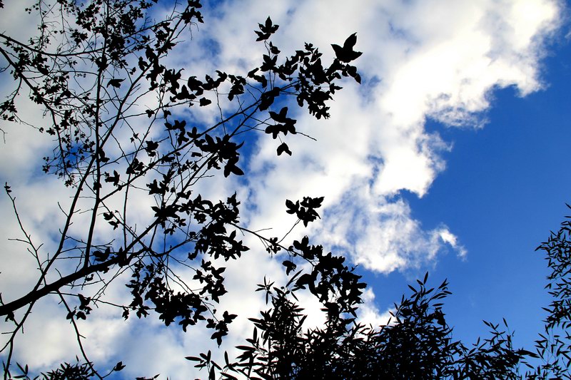 http://i.dcview.tw/gallery/201102/8495b1fe0aa3f8376fd053b3f6f35850.jpg
