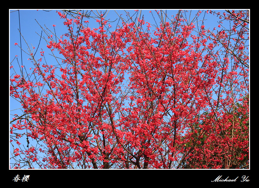 http://i.dcview.tw/gallery/201102/8bb929b1dfaa4e05c9968dfbbcd729b0.jpg