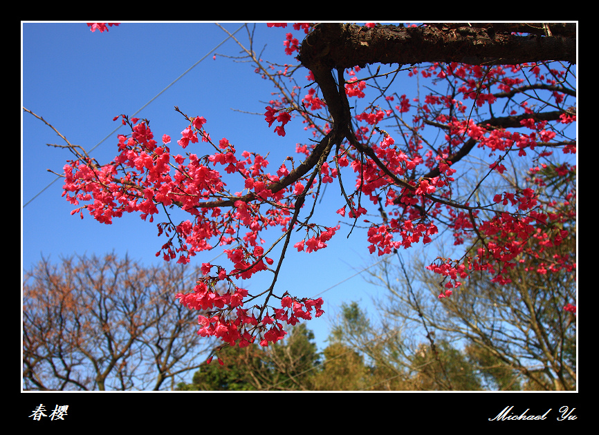 http://i.dcview.tw/gallery/201102/8fa3fc31549cc8fa4e7f82670fc197b2.jpg