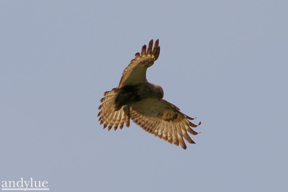 http://i.dcview.tw/gallery/201102/93960131da12aae6e353453c952fc6d1.jpg