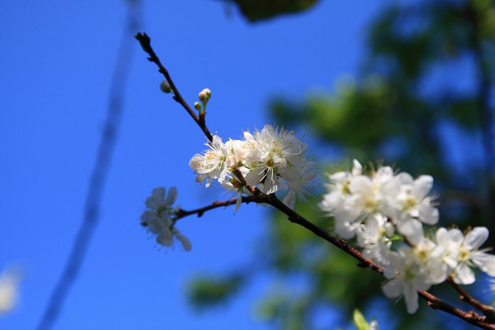 http://i.dcview.tw/gallery/201102/9416e7fa18d72a91499a41482ed8b3a0.jpg