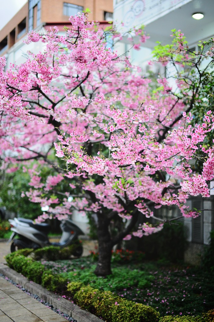 http://i.dcview.tw/gallery/201102/94be0455ea19855d186de9016d221d3c.jpg