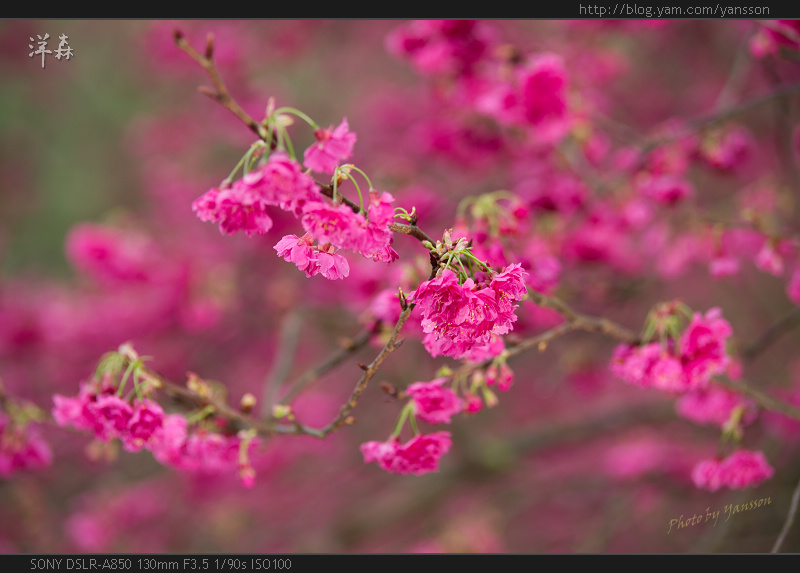http://i.dcview.tw/gallery/201102/9525cd13af1bf48b9398ccea1029a538.jpg
