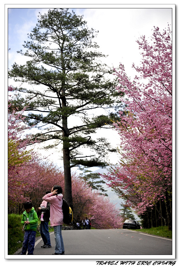 http://i.dcview.tw/gallery/201102/96a4f2b6ec565e74d371e0e2e40193d5.jpg