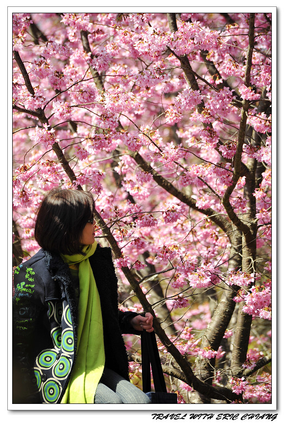 http://i.dcview.tw/gallery/201102/9e463a4421f4c57a562a20db8432daa1.jpg