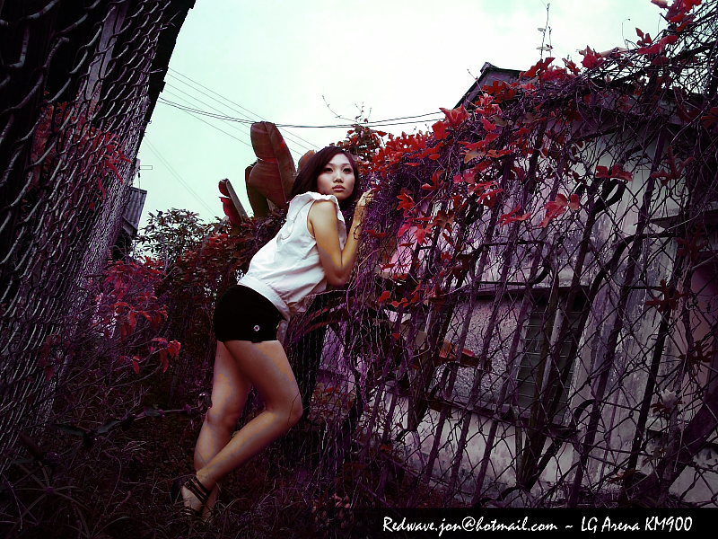 http://i.dcview.tw/gallery/201102/a2050b6fe9a46ffbd116210ca32e7322.jpg