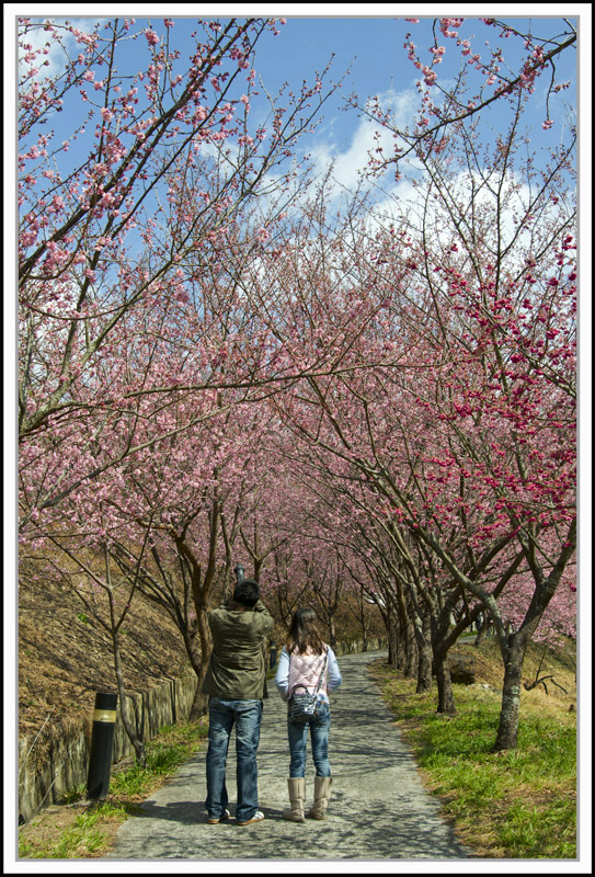 http://i.dcview.tw/gallery/201102/a85cc269395a5c497e2d0b882f921a8d.jpg