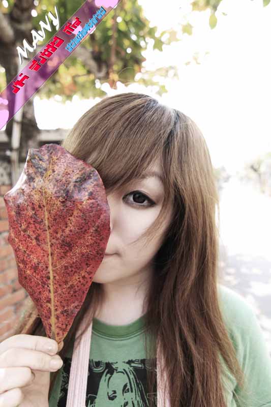 http://i.dcview.tw/gallery/201102/a8a115432874bc18907c5a0f1bd827fb.jpg