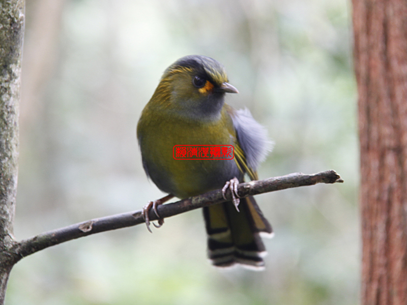 http://i.dcview.tw/gallery/201102/a92b980fb8e99ad8abd922702fa0bd7b.jpg