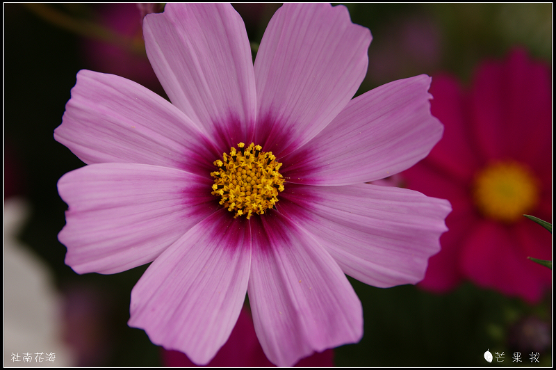 http://i.dcview.tw/gallery/201102/af8b7f616567db08d4d79a60f44630da.jpg