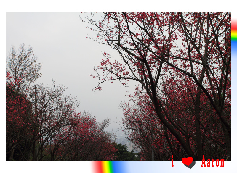 http://i.dcview.tw/gallery/201102/b0cb61131c62c8526f2afbba37d75902.jpg