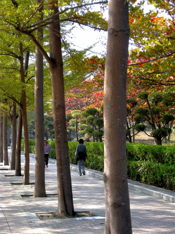 http://i.dcview.tw/gallery/201102/b1d20692e9c0f9b1ec9f97f7b35295a9.jpg