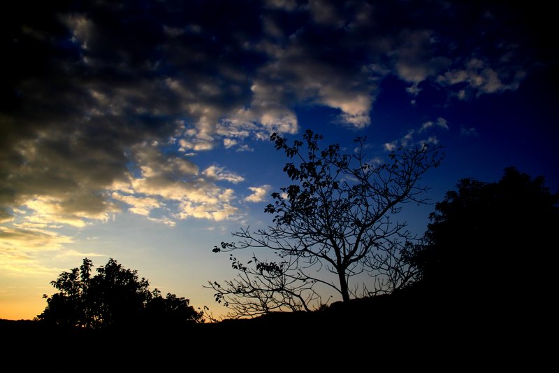 http://i.dcview.tw/gallery/201102/b2145c366e41578b61ccce58e8bafddf.jpg