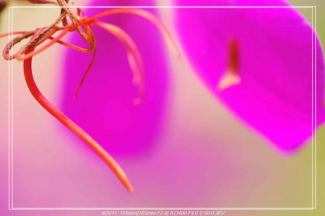 http://i.dcview.tw/gallery/201102/b64f0fb9aa5f46fdcc79d643be12a01f.jpg