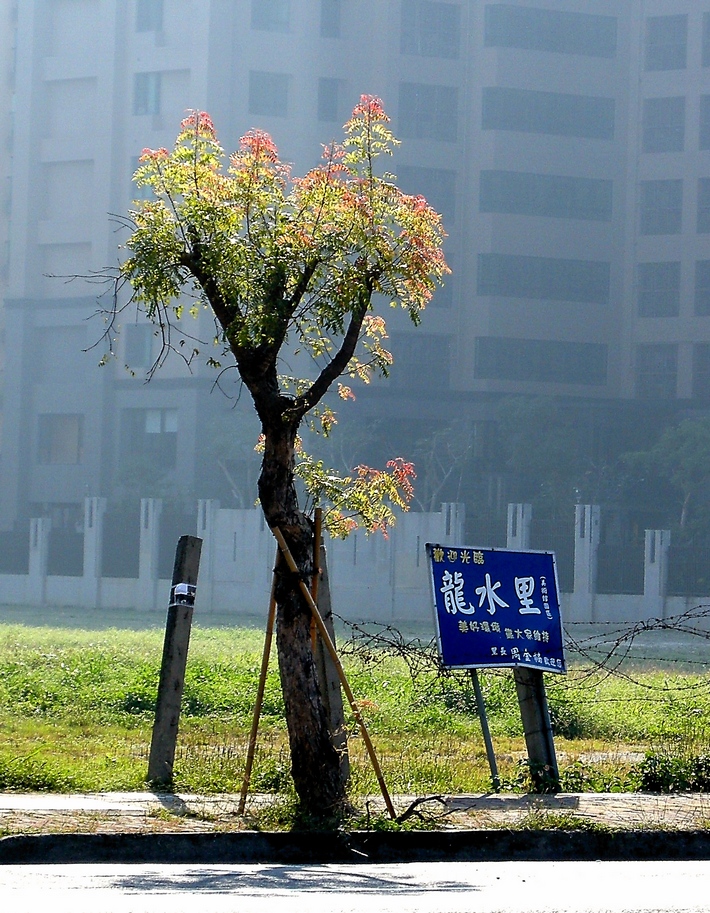 http://i.dcview.tw/gallery/201102/c09b0836db7e8237be7c2e4d75c4e5c1.jpg
