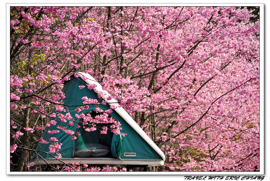 http://i.dcview.tw/gallery/201102/c1dfa26f959c8f4b5edad5838dfdea5e.jpg