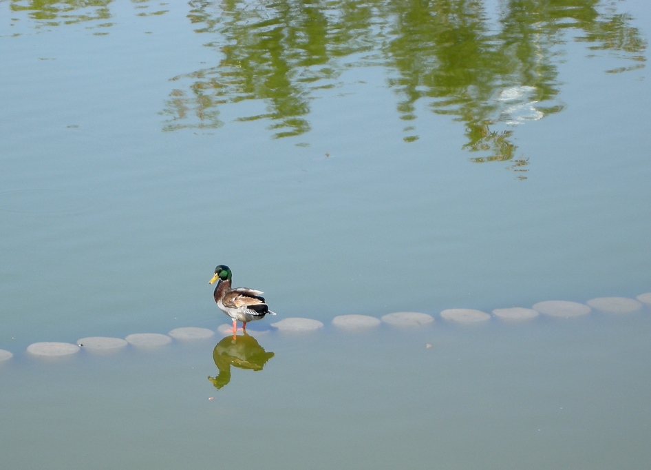 http://i.dcview.tw/gallery/201102/c7a591170f2f10d0ab421a536abc965e.jpg