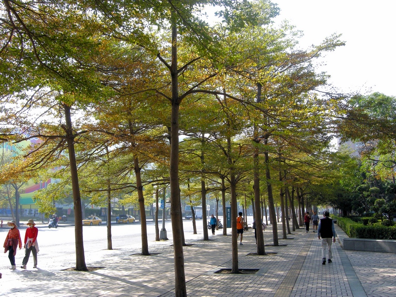 http://i.dcview.tw/gallery/201102/cc7a2ee86ddd99c3a7fce2b753562891.jpg