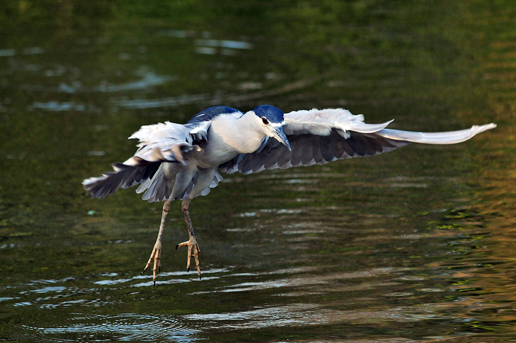 http://i.dcview.tw/gallery/201102/d80fb117bd6914b4edd3754f444ba08a.jpg
