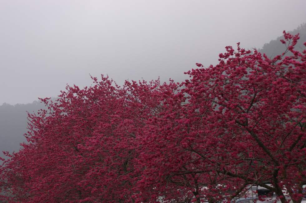 http://i.dcview.tw/gallery/201102/ddd06f6169019add6e0b4d6dea2305f0.jpg
