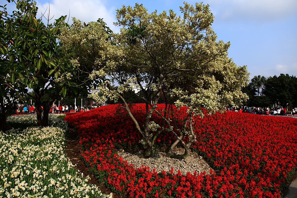 http://i.dcview.tw/gallery/201102/dde7d09b91845c35aec657becfa76807.jpg