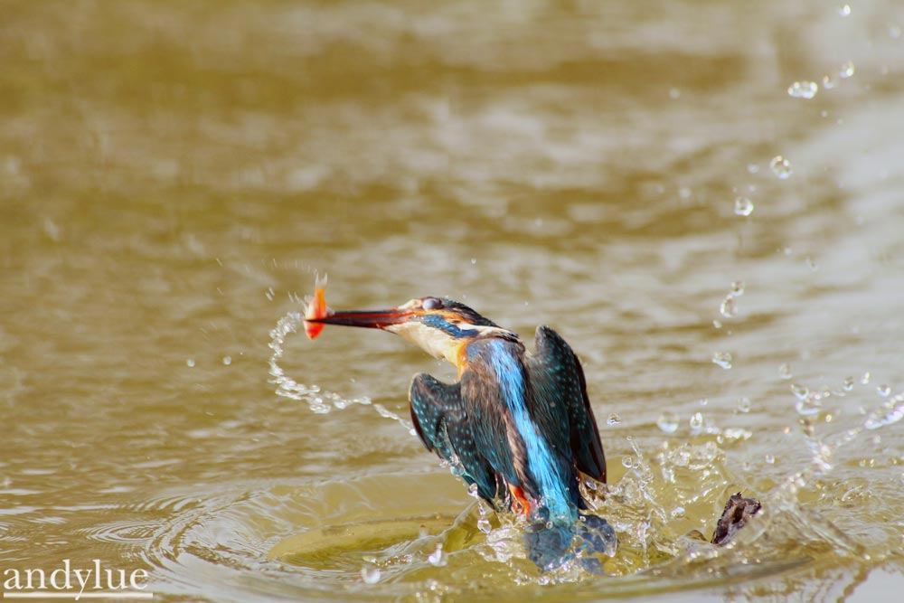 http://i.dcview.tw/gallery/201102/e2841e1f98e1011245a1c9d2a6939059.jpg