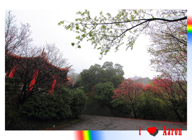 http://i.dcview.tw/gallery/201102/e8c22312292e24ccda90fd4203fcd504.jpg