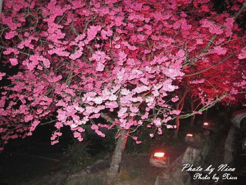http://i.dcview.tw/gallery/201102/eedb5a330fd26791c53b72fbd226cfb6.jpg