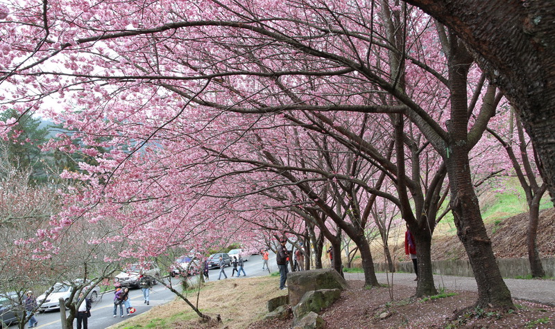 http://i.dcview.tw/gallery/201102/f0423f2423bdbf09e09574f7c082727f.jpg