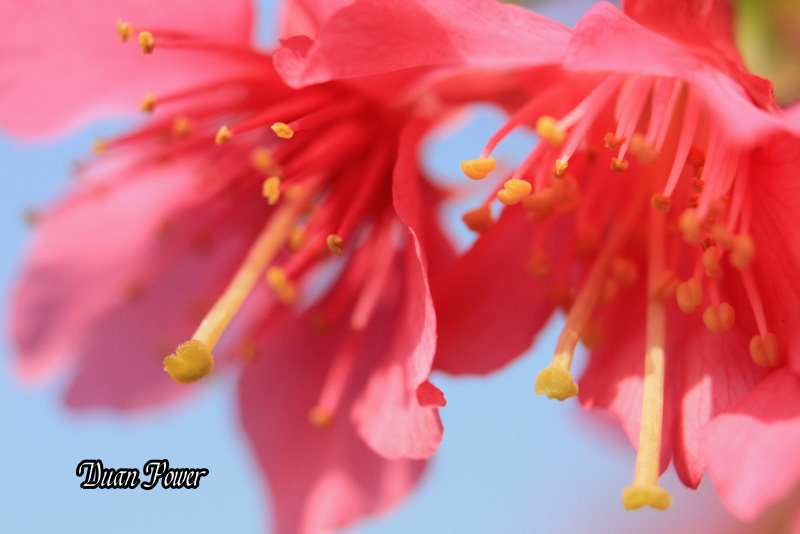 http://i.dcview.tw/gallery/201102/f1a7d7cb3e791b94b6b7adc0f93db46d.jpg