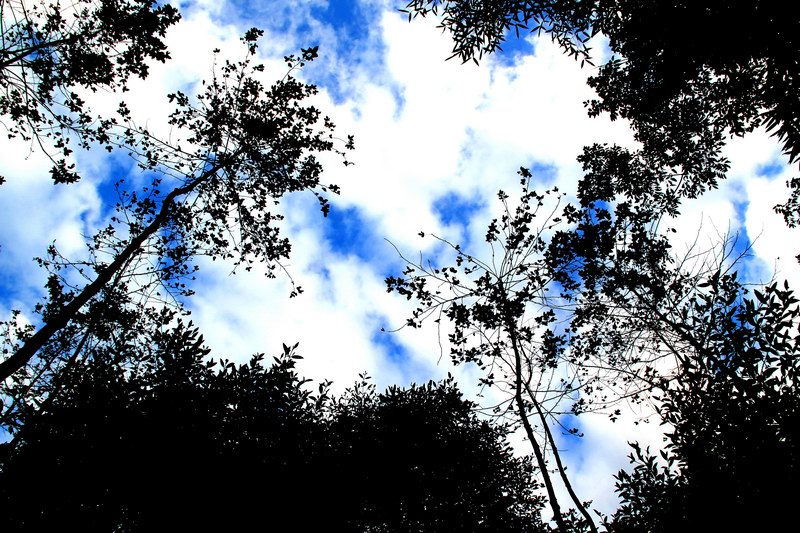 http://i.dcview.tw/gallery/201102/f28020fd754572c218386d7bf0685896.jpg