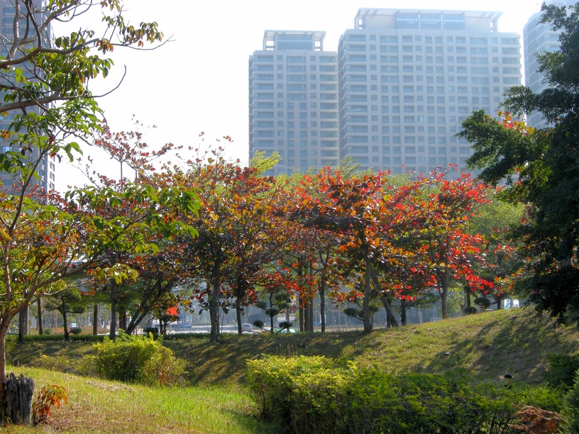 http://i.dcview.tw/gallery/201102/f2eca9ed4a36a2ece0970b73f55e6966.jpg