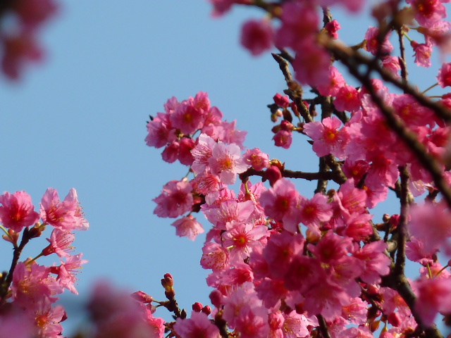 http://i.dcview.tw/gallery/201102/f362f6053afdbb38cb71202feae28bde.jpg