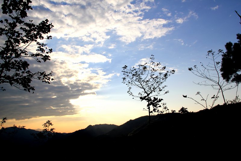 http://i.dcview.tw/gallery/201102/f76ee1e5e3bd5550e91294d8dcdf28e0.jpg