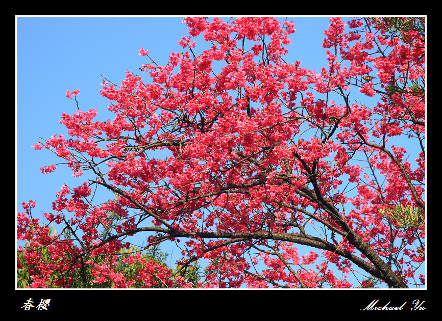 http://i.dcview.tw/gallery/201102/f7ab22970e90e65928d3b8242e7f33d2.jpg