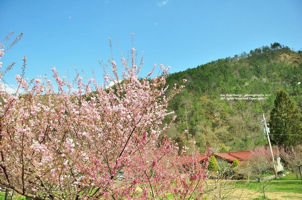 http://i.dcview.tw/gallery/201102/f82d5775dc74be573d18ac06448dd492.jpg