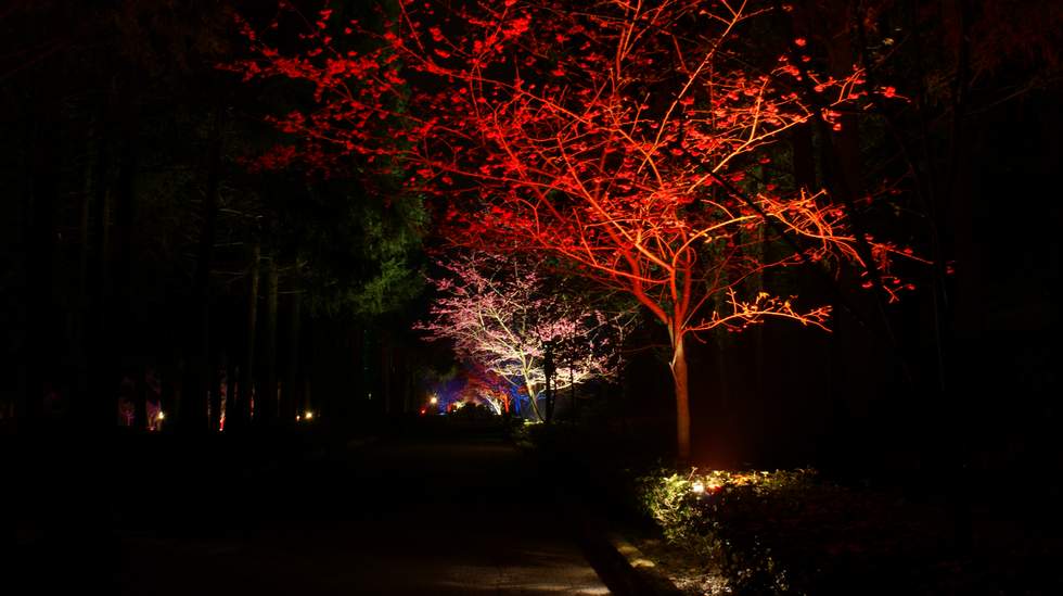 http://i.dcview.tw/gallery/201102/fcea78a408321fc3894d05828f8e15fb.jpg